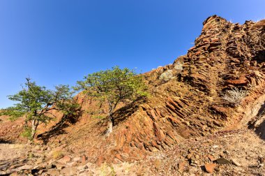 Organ borular - Twyfelfontein, Damaraland, Namibya
