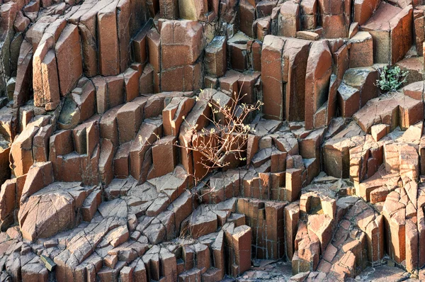 Орган трубки - Twyfelfontein, Damaraland, Намібія — стокове фото