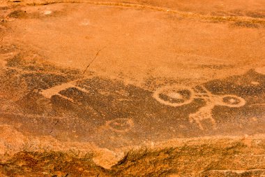 Bushmen Rock gravür - Namibya