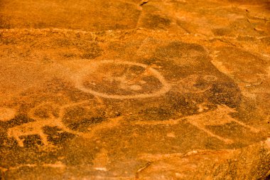 Bushmen Rock gravür - Namibya