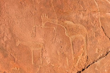Bushmen Rock gravür - Namibya