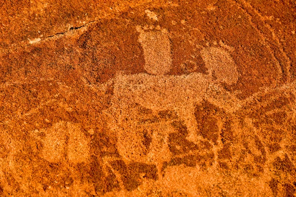 Bushman Rock гравюри - Намібії — стокове фото