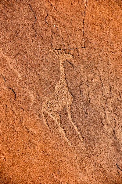 Buschmann Felsgravuren - namibia — Stockfoto