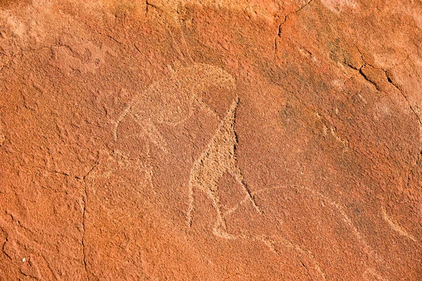 Bushman skalní rytiny - Namibie — Stock fotografie