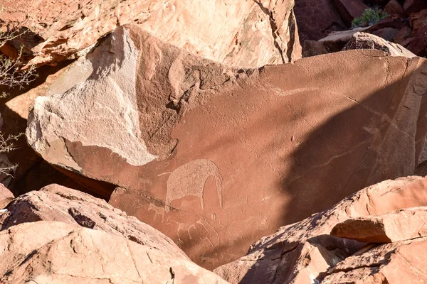 Buschmann Felsgravuren - namibia — Stockfoto