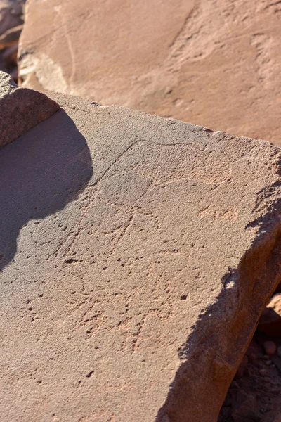 Bushman Rock Engravings - Namibia — Stock Photo, Image