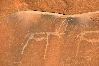 Bushmen Rock gravür - Namibya