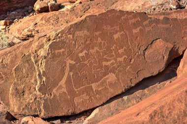 Bushmen Rock gravür - Namibya