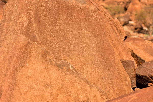 Incisioni rupestri di Bushman - Namibia — Foto Stock