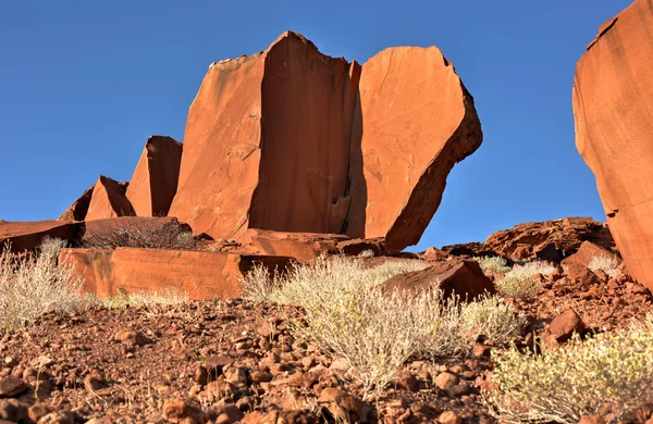 Buschmann Felsgravuren - namibia — Stockfoto