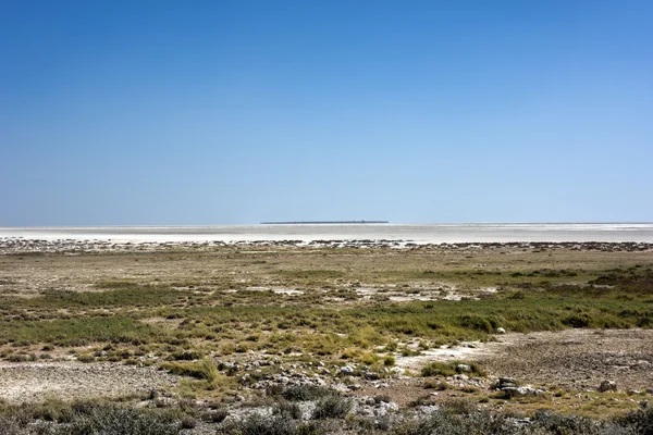 Pan de sal de Etosha - Namibia — Foto de Stock