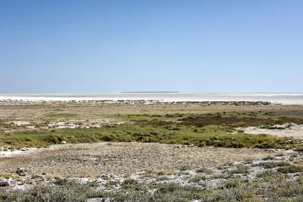 Soli Etosha Pan - Namibia — Zdjęcie stockowe