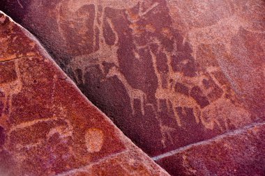 Bushmen Rock gravür - Namibya