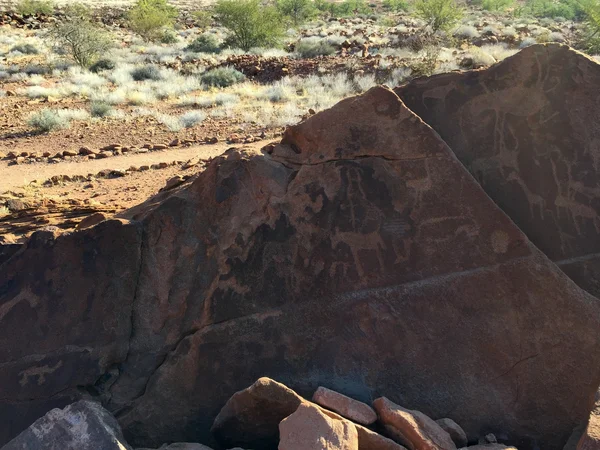 Buschmann Felsgravuren - namibia — Stockfoto