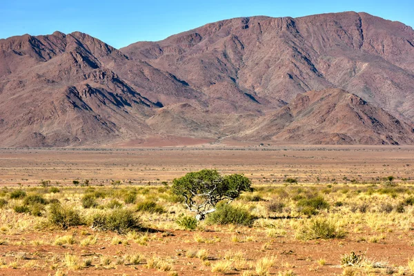 Pouštní krajina - Namibrand, Namibie — Stock fotografie