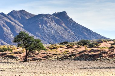 Manzara - Namibrand, Namibia çöl