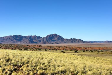 Manzara - Namibrand, Namibia çöl