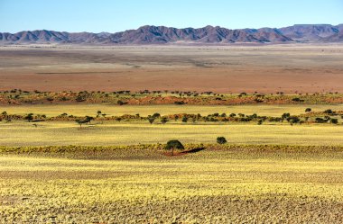 Manzara - Namibrand, Namibia çöl