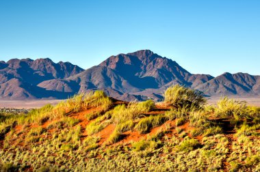 Manzara - Namibrand, Namibia çöl