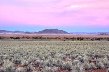Manzara - Namibrand, Namibia çöl