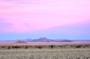Manzara - Namibrand, Namibia çöl
