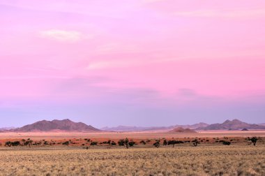 Manzara - Namibrand, Namibia çöl