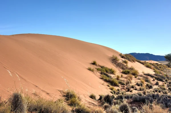 Woestijn landschap - Namibrand, Namibië — Stockfoto