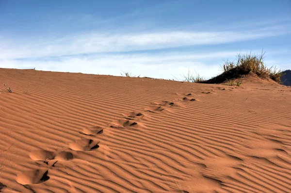 Woestijn landschap - Namibrand, Namibië — Stockfoto