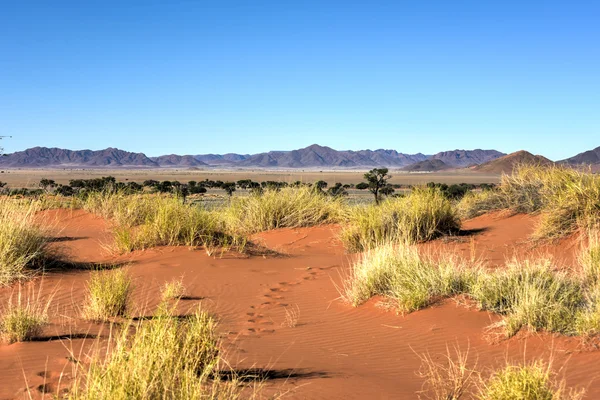 Paisagem do Deserto NamibRand, Namíbia — Fotografia de Stock