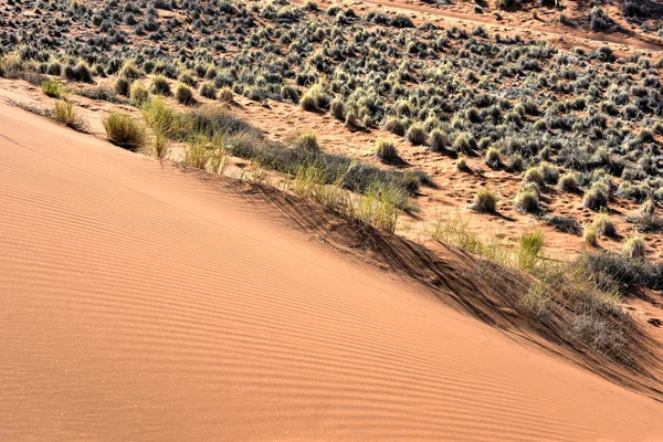 Pustynia krajobraz - Namibrand, Namibia — Zdjęcie stockowe