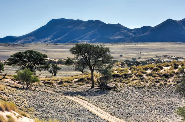 Пейзаж пустыни - Намибранд, Намибия — стоковое фото