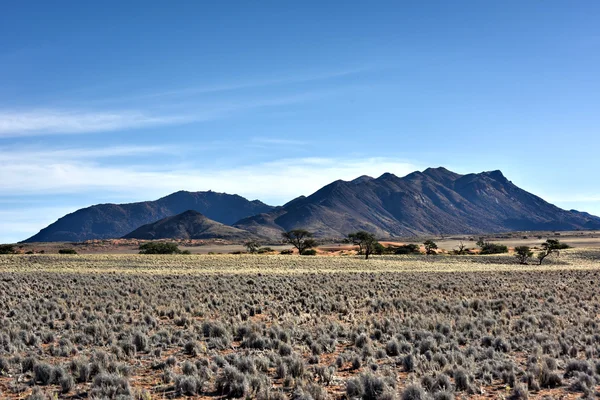 Paisagem do Deserto NamibRand, Namíbia — Fotografia de Stock