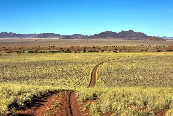 Woestijn landschap - Namibrand, Namibië — Stockfoto