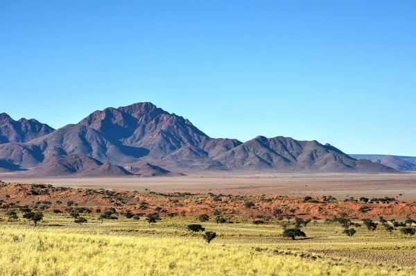 Paisaje del desierto - NamibRand, Namibia — Foto de Stock