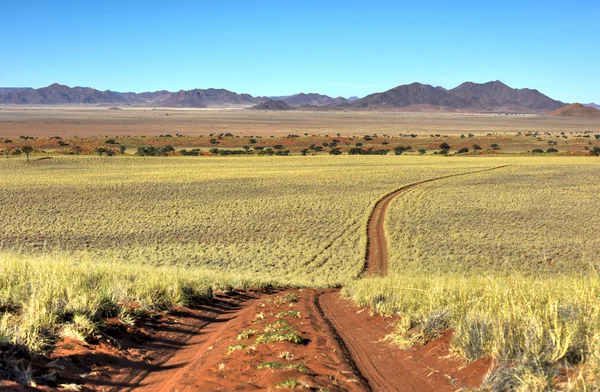 Woestijn landschap - Namibrand, Namibië — Stockfoto