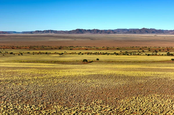 Paesaggio desertico - Namibia, Namibia — Foto Stock