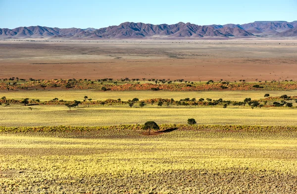 砂漠の風景 - Namibrand, ナミビア — ストック写真