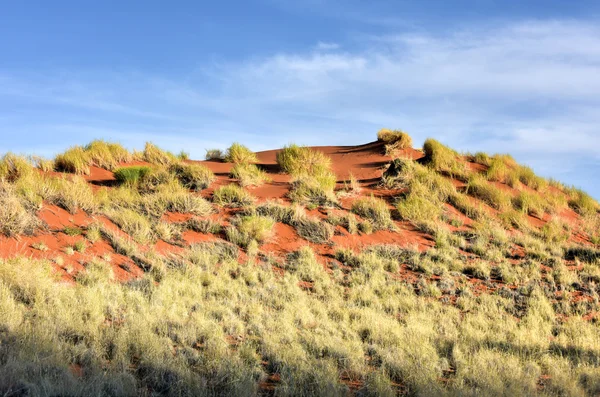 Paisagem do Deserto NamibRand, Namíbia — Fotografia de Stock