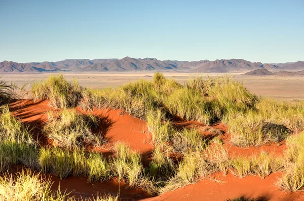 Woestijn landschap - Namibrand, Namibië — Stockfoto