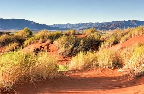 Paisaje del desierto - NamibRand, Namibia — Foto de Stock