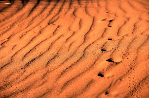 Woestijn landschap - Namibrand, Namibië — Stockfoto