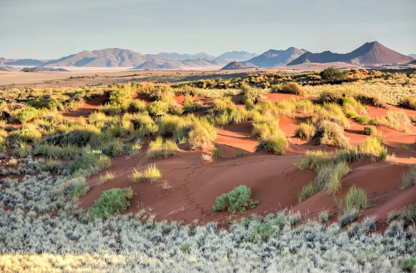 Woestijn landschap - Namibrand, Namibië — Stockfoto