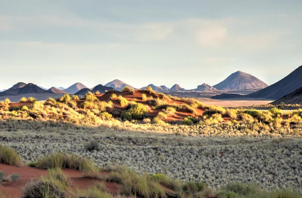 Woestijn landschap - Namibrand, Namibië — Stockfoto
