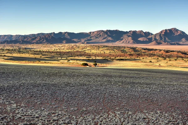 Paisaje del desierto - NamibRand, Namibia — Foto de Stock