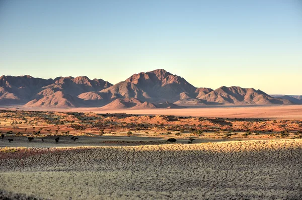 Woestijn landschap - Namibrand, Namibië — Stockfoto