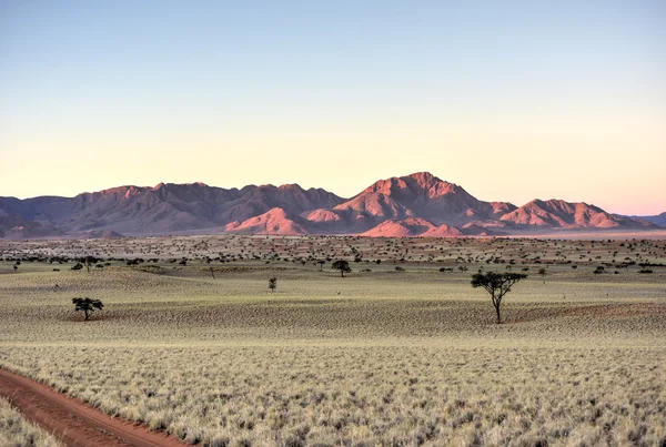 Woestijn landschap - Namibrand, Namibië — Stockfoto