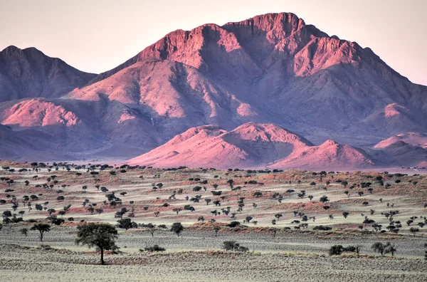 砂漠の風景 - Namibrand, ナミビア — ストック写真