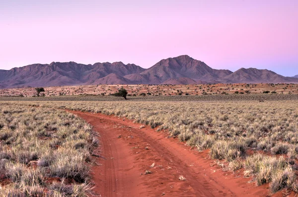 Paisaje del desierto - NamibRand, Namibia — Foto de Stock