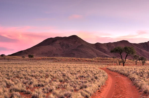 Woestijn landschap - Namibrand, Namibië — Stockfoto