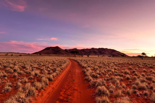 Woestijn landschap - Namibrand, Namibië — Stockfoto